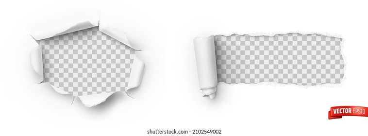 Vector realistic illustration of white ripped paper on a transparent background. - Shutterstock ID 2102549002