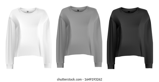Vector realistic illustration of women's clothing. Isolated image of a female long sleeve t-shirt.