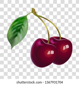 Vector realistic image of fruit. Vector illustration of natural products. Ripe cherries on a light background.