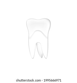 vector realistic image of a permanent tooth