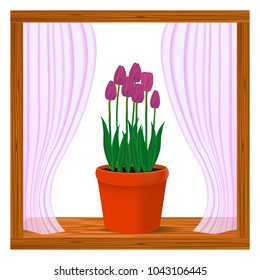 Vector, realistic image of pink flowers of tulips in a pot in the window on the window sill
