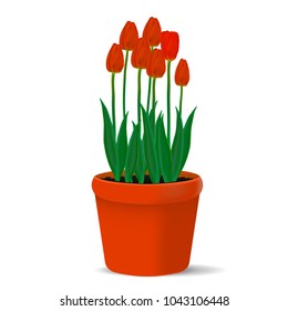Vector, realistic image of red flowers of tulips in a pot