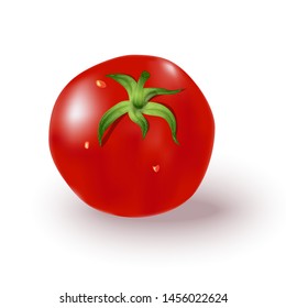 Vector realistic image of red tomato on white background. Green leaves of the stem, water drops, shadow and glare. To illustrate the food.