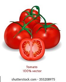 Vector realistic image of tomatoes on a branch