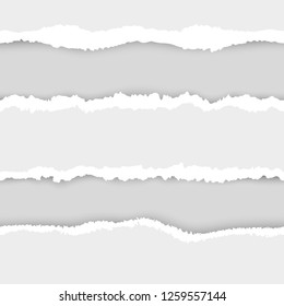 Vector realistic image of torn paper. EPS 10