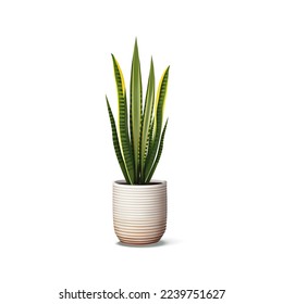 Vector realista planta interior en la olla. Planta de limpieza detallada aislada en una cacerola de cerámica a rayas. Planta de serpientes, sansevieria para la decoración interior.