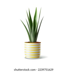 Vector realista planta interior en la olla. Planta de limpieza detallada aislada en una cacerola de cerámica a rayas. Planta de serpientes, sansevieria para la decoración interior.