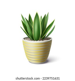 Vector realistic Indoor plant in pot. Detailed houseplant in striped ceramic pot isolated. Snake plant, sansevieria for interior decoration.