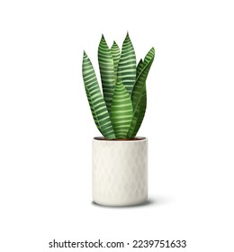 Vector realista planta interior en la olla. Planta de limpieza detallada aislada en una cacerola de cerámica a rayas. Planta de serpientes, sansevieria para la decoración interior.
