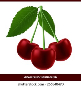 Vector realistic isolated cherry with leaves on the white background