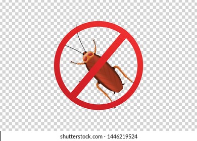 Vector realistic isolated cockroach sign for template decoration and covering on the transparent background. Concept of insect danger and disinsection.