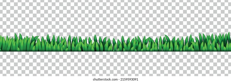 Vector realistic isolated grass border on the transparent background. Concept of summer.