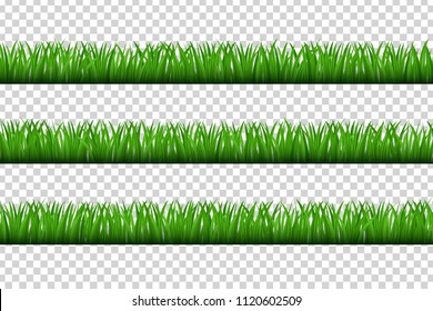 Vector realistic isolated grass borders for decoration and covering on the transparent background. Concept of meadow, field and nature.