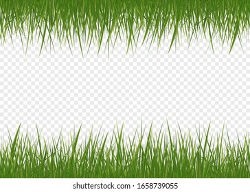 Vector realistic isolated green grass borders for decoration  Isolated plant stems for front plan nature illustration  Gradient mesh tool 