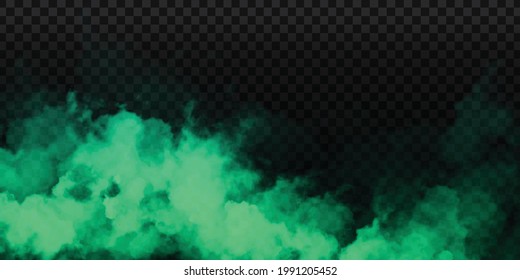 Vector realistic isolated Green Smoke effect for decoration and covering on the transparent background.