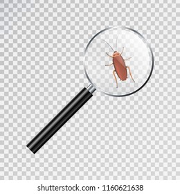 Vector realistic isolated magnifier with a cockroach for decoration and covering on the white background. Concept of insect danger and disinsection.