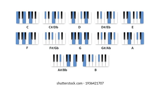 Vector realistic isolated piano Major chords for musical education on the white background.