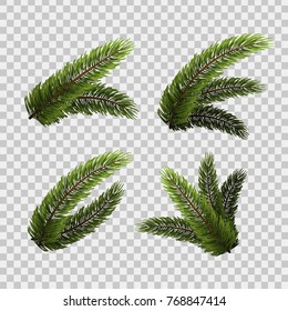 Vector realistic isolated set of fir branches for decoration and covering on the transparent background. Concept of Merry Christmas and Happy New Year.