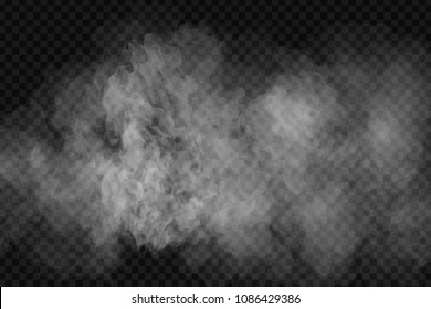 Vector realistic isolated smoke effect for decoration   covering the transparent background 