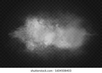 Vector realistic isolated smoke effect for decoration and covering on the transparent background.