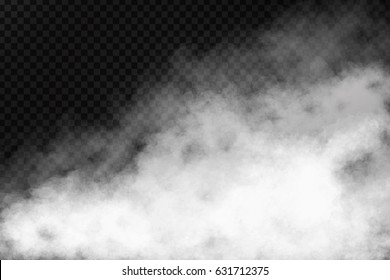 Vector realistic isolated smoke effect on the transparent background. Realistic fog or cloud for decoration.