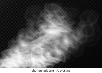 Vector realistic isolated smoke effect on the transparent background. Realistic fog or cloud for decoration.