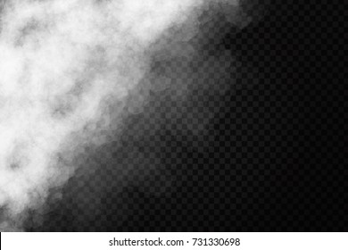 Vector realistic isolated smoke effect on the transparent background. Realistic fog or cloud for decoration.