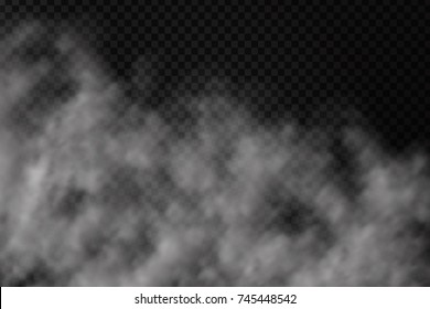 Vector realistic isolated smoke effect on the transparent background. Realistic fog or cloud for decoration.