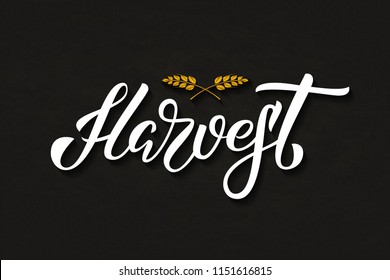 Vector realistic isolated typography logo for Harvest with origami wheat for decoration and covering on the dark background. Concept of happy harvest season and festival.