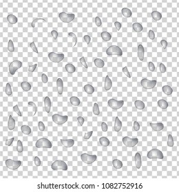 Realistic Water Rain Drops Transparent Background Stock Vector Royalty Free