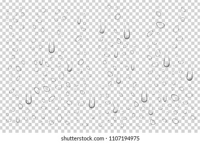 
Vector realistic isolated water droplets for decoration and covering on the transparent background.