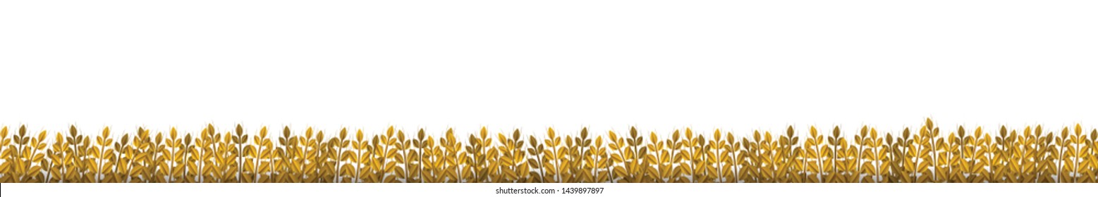 Vector realistic isolated Wheat border for template decoration and covering on the white background. Concept of bakery, organic food and harvest.