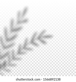 Vector realistic leaves shadow overlay. Hand drawn branches light shadow template. Design element for mockups, invitations, web templates. 