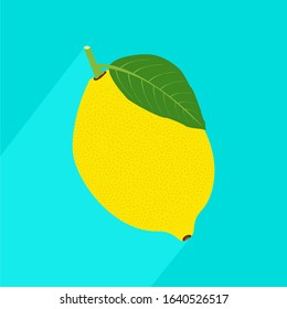 Vector realistic lemon icon with long shadow. Fresh and juicy lemon. Fruit illustration with flat design.