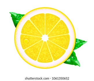 Vector realistic Lemon. Illustration from a mesh gradient. Colorful illustration of juicy Lemon.