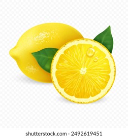 Vector realistic lemon with leaves and water drops on transparent background. Whole and a slice of fresh citrus.