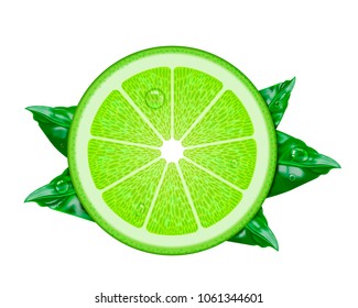 Vector realistic Lime. Illustration from a mesh gradient.