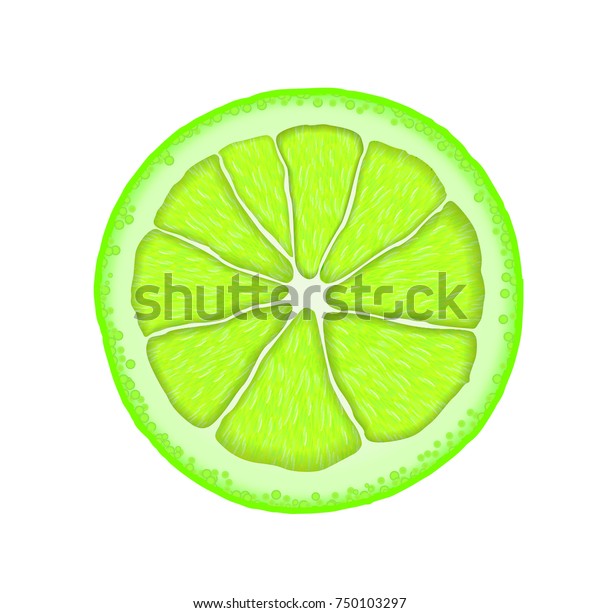 Vector Realistic Lime Slice Illustration Citrus Stock Vector (Royalty ...