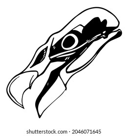 vector realistic line art freehand drawing of eagle or falcon skull isolated on white background. useful for Halloween product design, postcards, print, tattoo, poster, web element and graphic design.