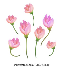 Vector realistic lotos, cherry, sakura peony, apple tree flower closed with stem set. Pink detailed floral, natural spring, valentine, women day lightness symbol Isolated illustration white background