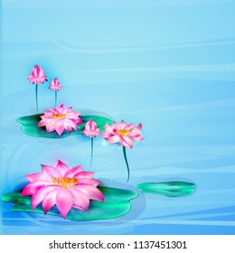 Vector realistic lotus, flowering and closed. Pink floral, natural symbol of spring, valentines, women day, lightness
