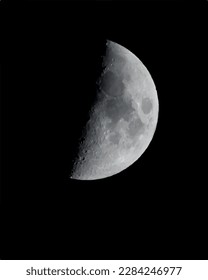 Vector realistic moon in the dark sky