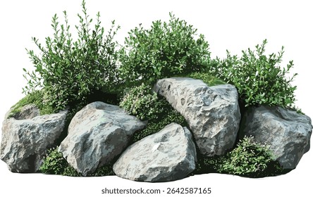 Vector realistic nature rock gardening design, isolate, garden landscaping, nature elements, gardening tools, natural rock texture, landscape decoration, outdoor garden design