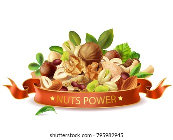 Vector realistic nuts power banner template isolated. Types of nuts leaves mix, organic product packaging design. Illustration with peeled hazelnut, pistachio cashew walnut filbert, groundnut, almond