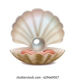 Vector realistic opened shell with shining pearl inside isolated on white background. 