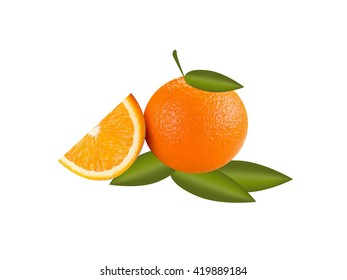 vector realistic orange on a white background