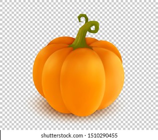 Vector realistic orange pumpkin in cartoon style on transparency grid imitation background