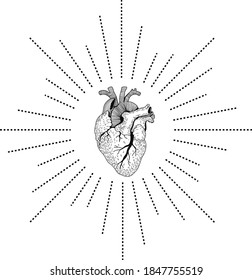 Corazón humano de órganos vectoriales realistas. La ilustración Eps 10 se puede utilizar para la invitación a fiesta, plantilla de diseño, tarjeta de saludo, relleno de patrones, carteles, logotipo, tatuaje, marca. Elemento de diseño 