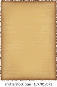 Vector realistic parchment isolated on the white background. Vintage old paper with texture.