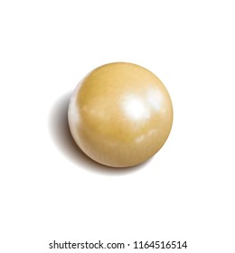 Vector Realistic Pearl Isolated on White Background, Single Natural Oyster Pearl with Shadow.